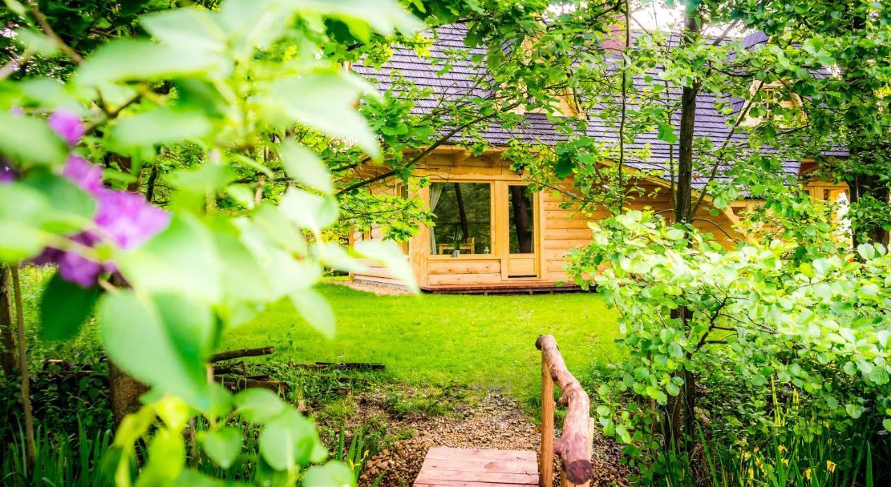 Sucholand Villa Miedziana Góra Exterior foto